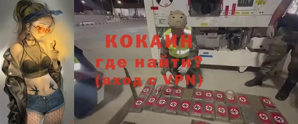 дмт Бородино