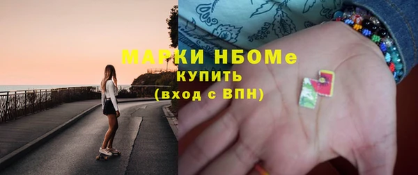 дмт Бородино