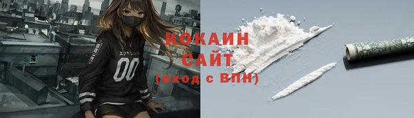 дмт Бородино