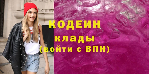 дмт Бородино