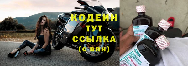 дмт Бородино