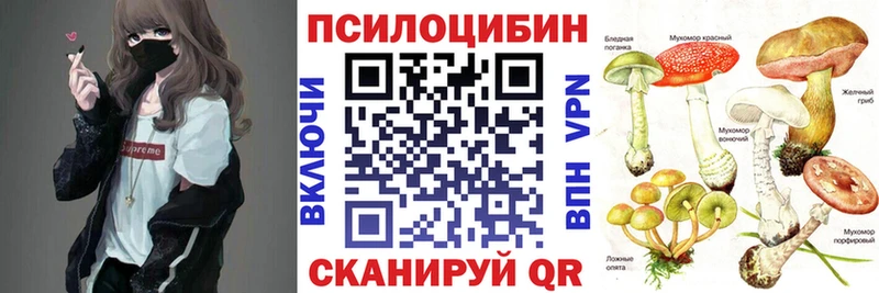 Галлюциногенные грибы Psilocybine cubensis  Балтийск 